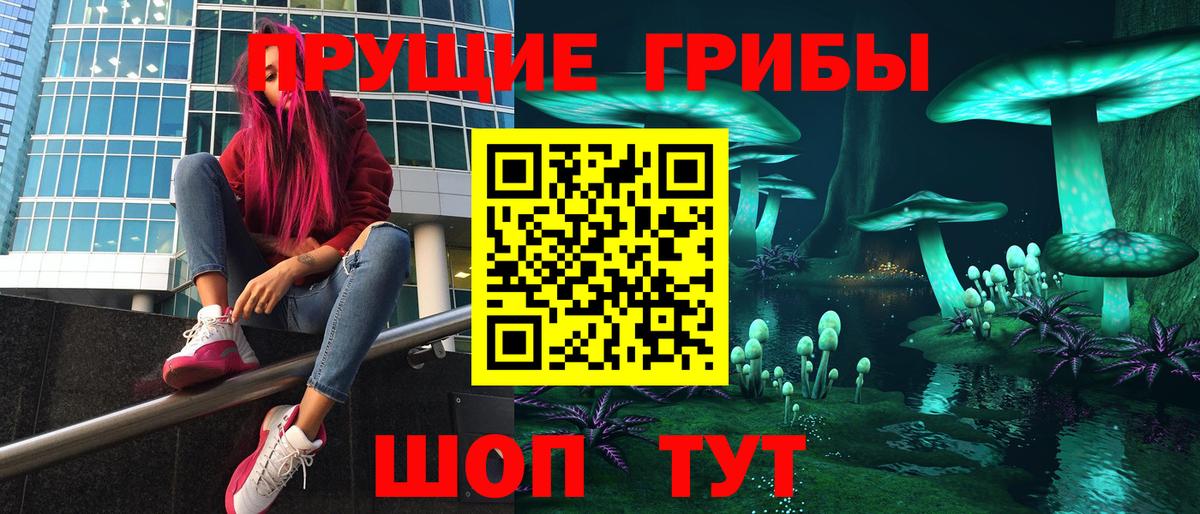 Азнакаево  Псилоцибиновые грибы мицелий  Вход с VPN  Псилоцибиновые грибы GOLDEN TEACHER 